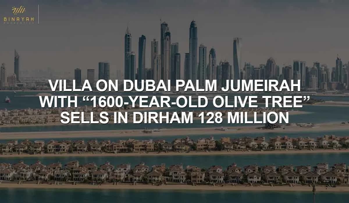 Villa on Dubai Palm Jumeirah with "1600-Year-Old Olive Tree" Sells in DH128 Million