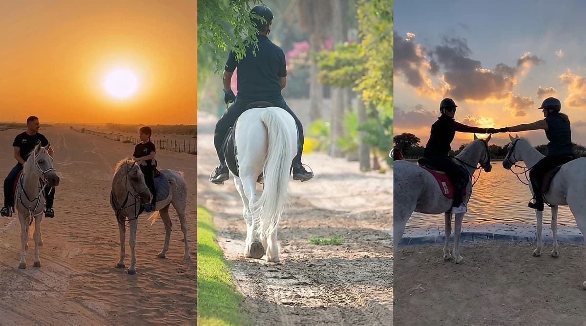 Horse riding in Dubai: top polo, desert stables and schools
