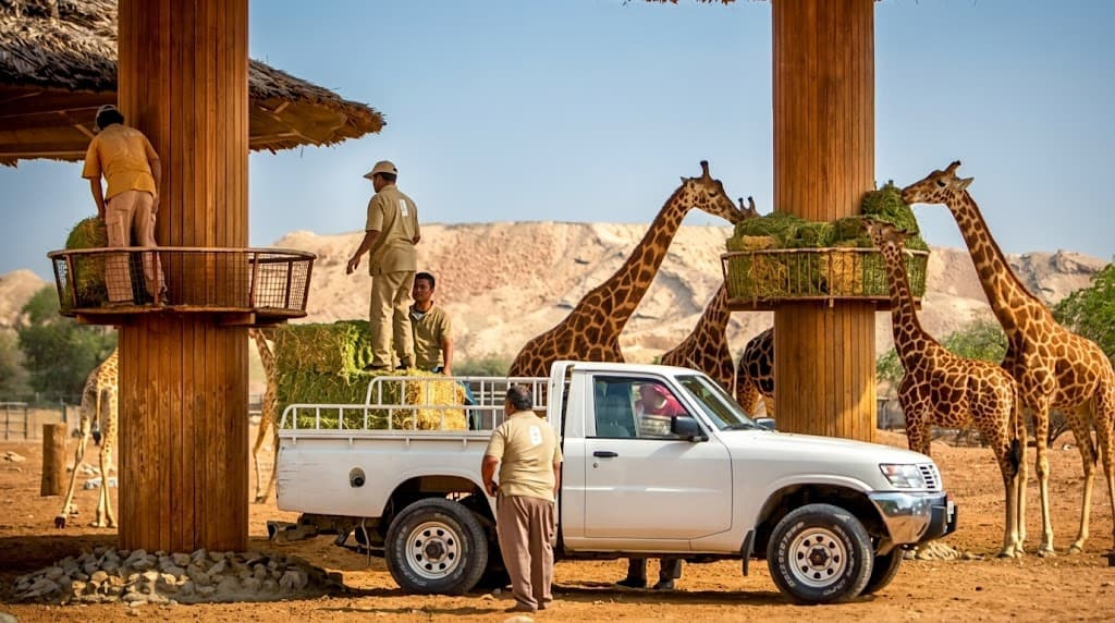 Is Al Ain Zoo worth a day trip from Abu Dhabi this weekend?