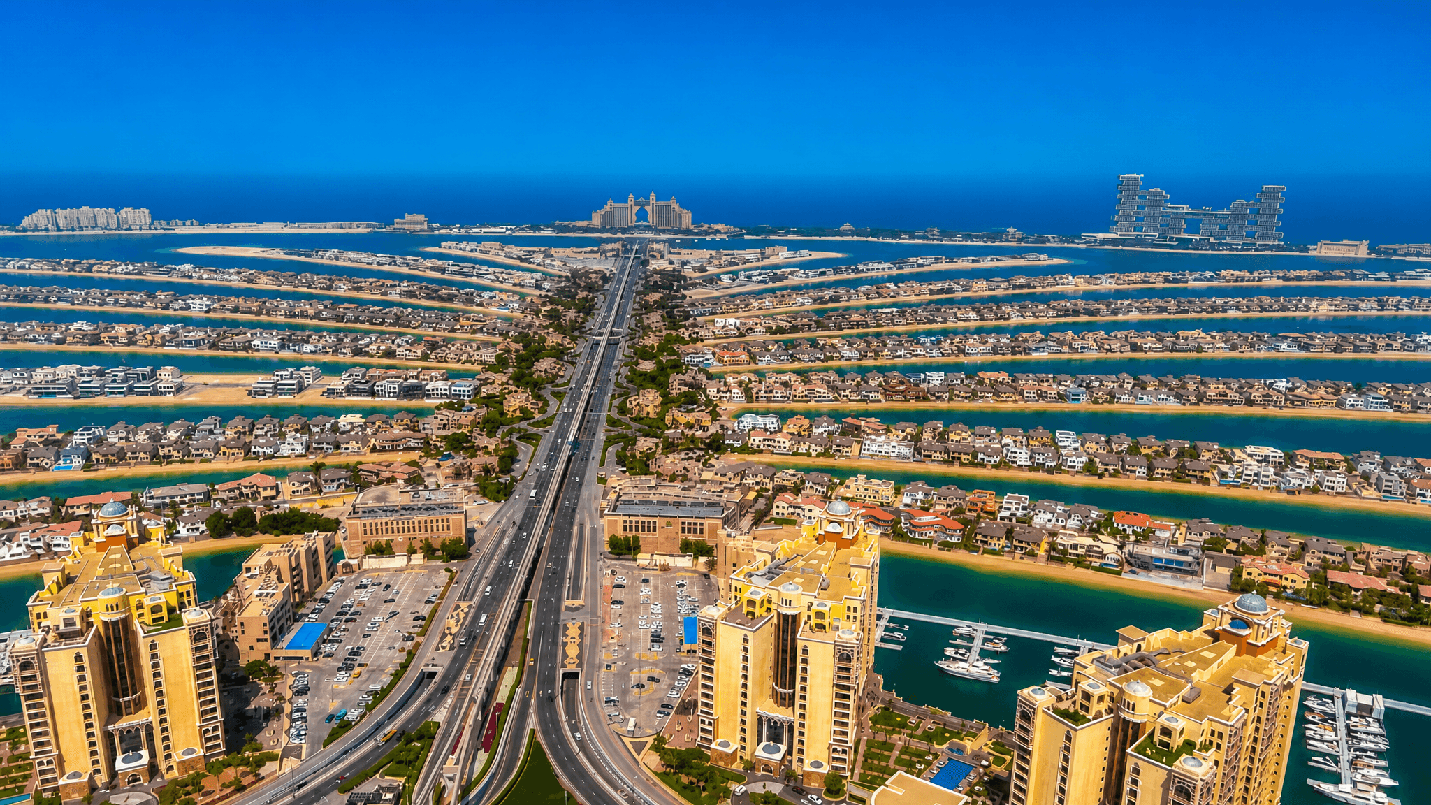 Where are the best night swims with skyline views in Dubai?
