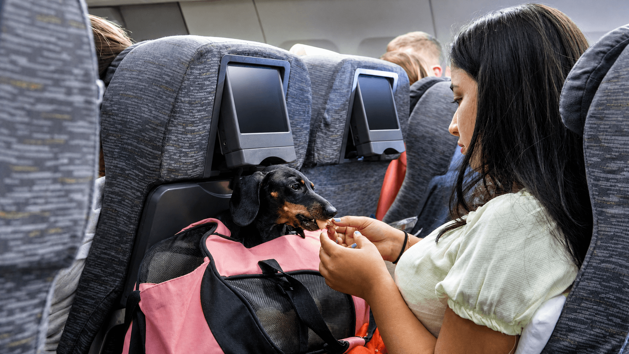 What does the Etihad Pets Onboard offer include?